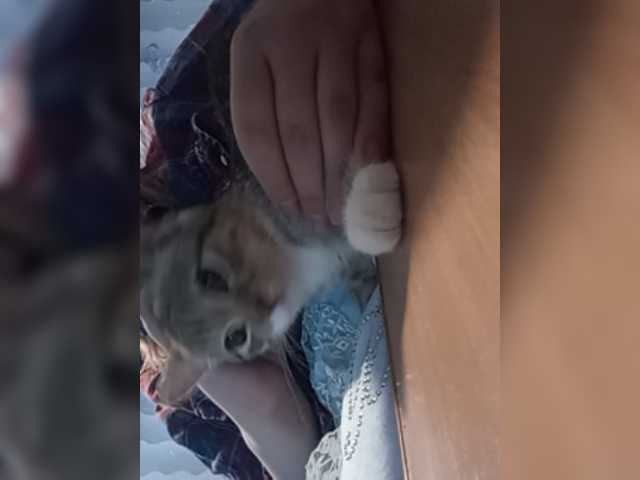 Ringhäälingupildid 8Lilith8