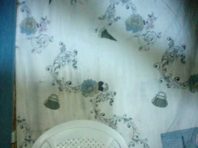 Ringhäälingupildid Alicia7