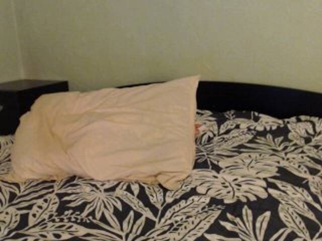 Ringhäälingupildid Alissia_Kiss