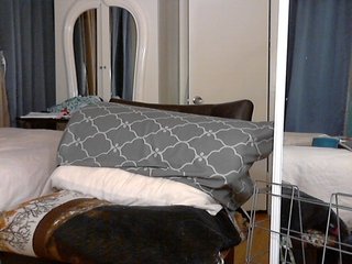Ringhäälingupildid FIXMYASSTOO