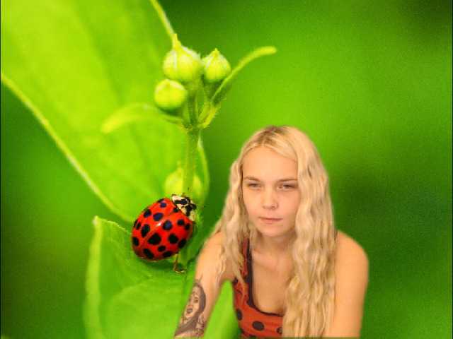 Fotod AnnaHappy18 ...the story of the lonely ladybug.