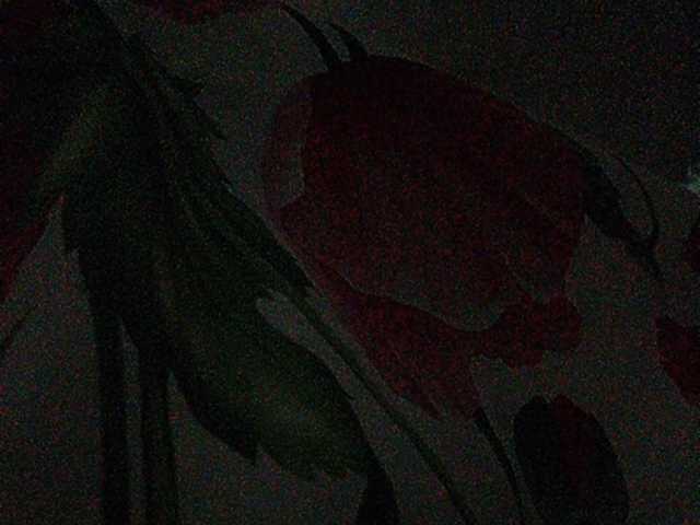 Ringhäälingupildid Rosalia_____