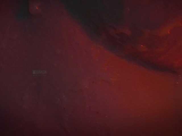 Ringhäälingupildid -ARTA-