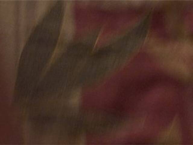 Ringhäälingupildid AshaPM