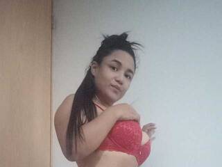 Erootiline videovestlus asstitis