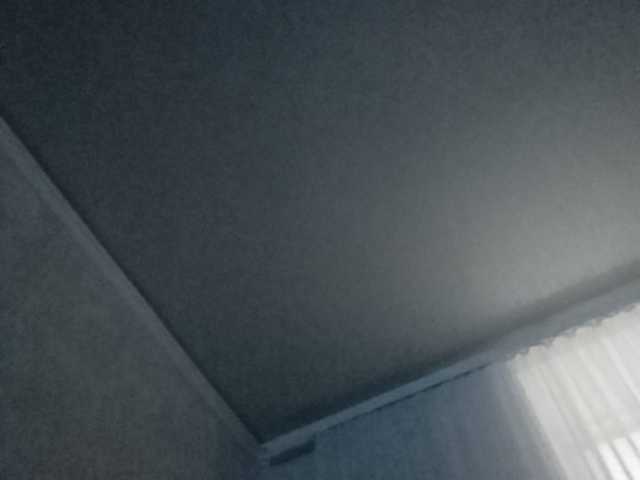 Ringhäälingupildid b1ToorBoPussy