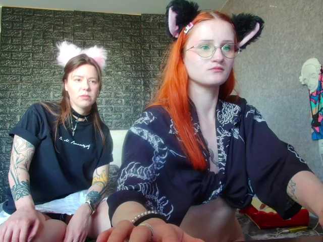 Ringhäälingupildid babyfoxys