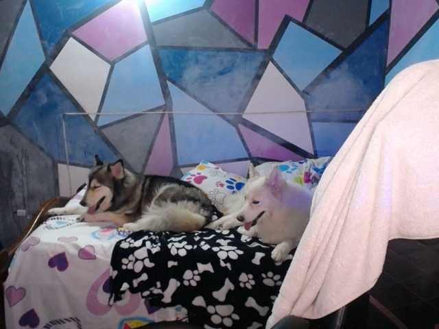 Ringhäälingupildid beautifulchubbyqueen