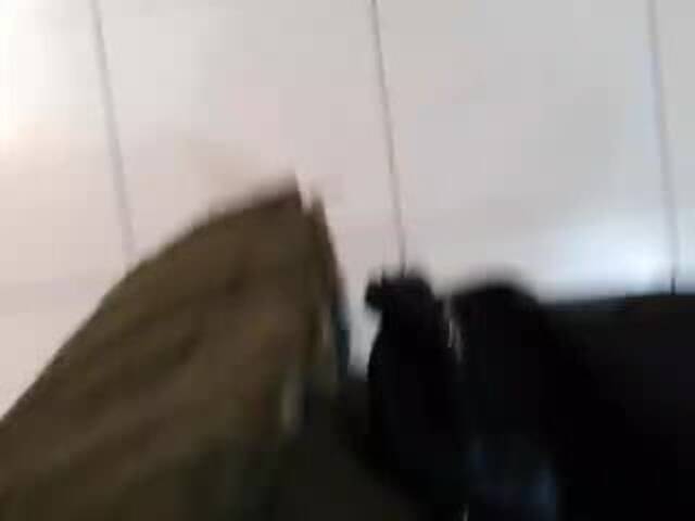 Ringhäälingupildid Black96Snake