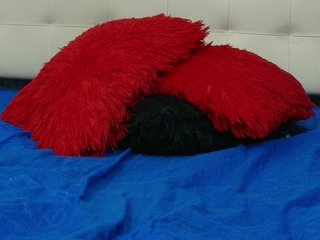 Erootiline videovestlus Alondra__connor