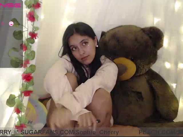 Ringhäälingupildid soficute