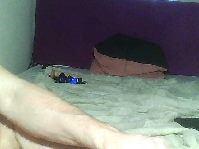 Ringhäälingupildid cat-and-cat