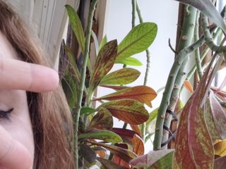 Erootiline videovestlus Crazycouple8