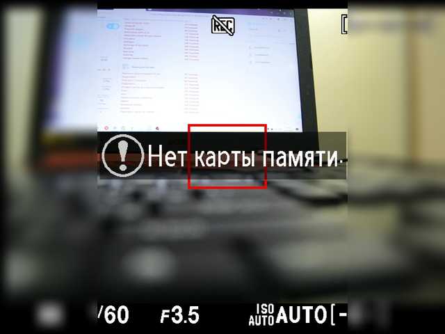 Ringhäälingupildid CrazyBunnys