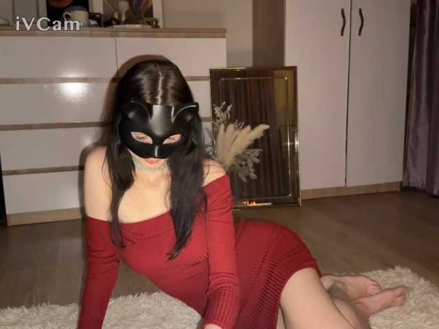 Ringhäälingupildid CuteCats