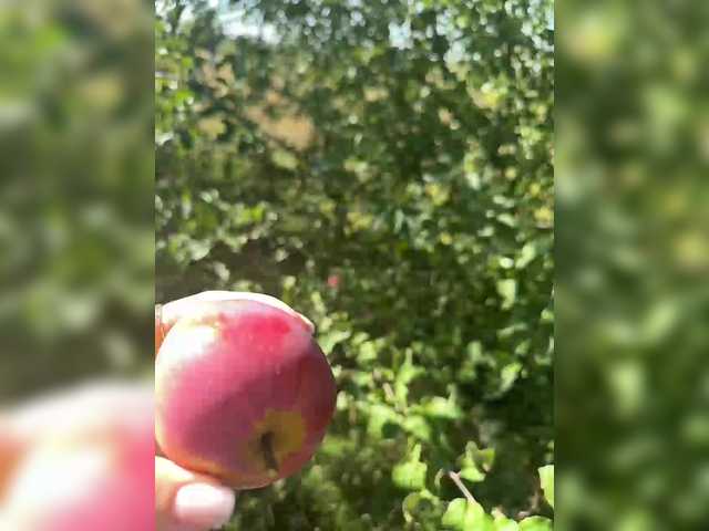 Ringhäälingupildid SSaibaliii