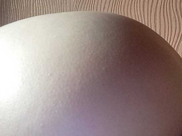 Ringhäälingupildid Darinaray777