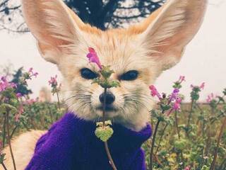 Erootiline videovestlus Anecka31