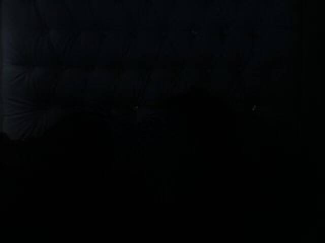 Ringhäälingupildid DolcePinkPuss