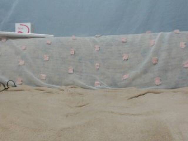 Ringhäälingupildid DonnaWildJoyy