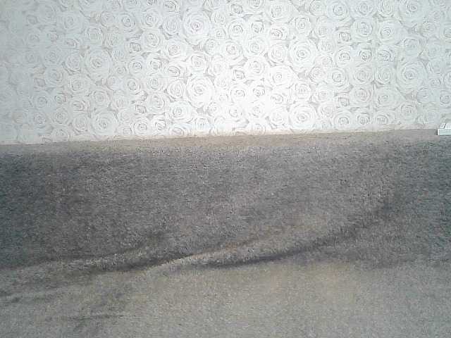 Ringhäälingupildid ElegantBlonda