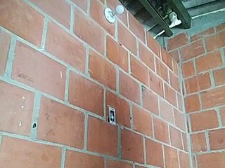 Erootiline videovestlus EmiliAddams