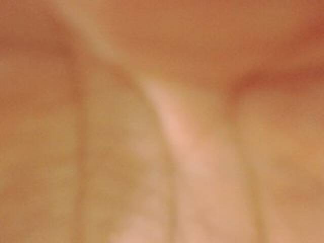 Ringhäälingupildid evabluexx