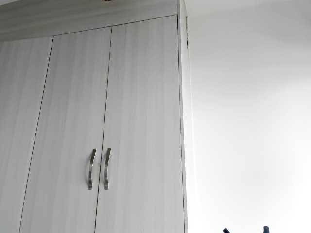 Ringhäälingupildid fitnessebony