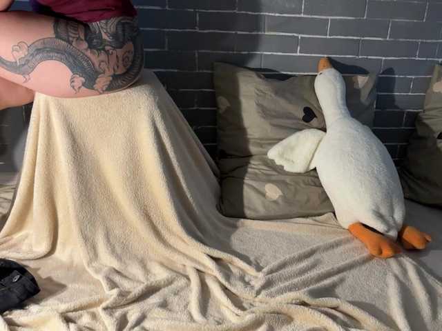 Ringhäälingupildid Fox-Paws