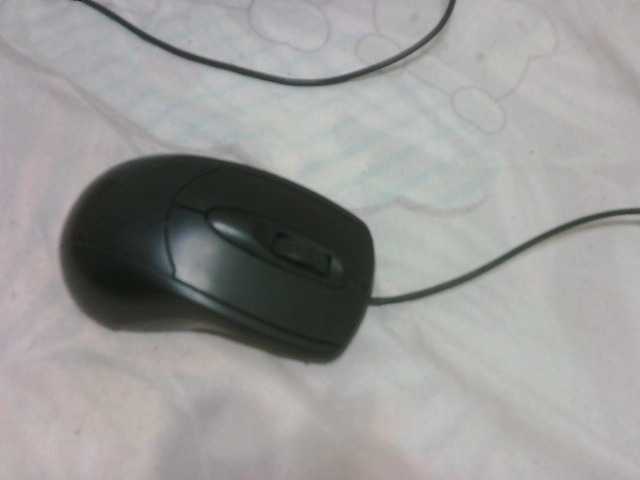 Ringhäälingupildid FuckMyAnus