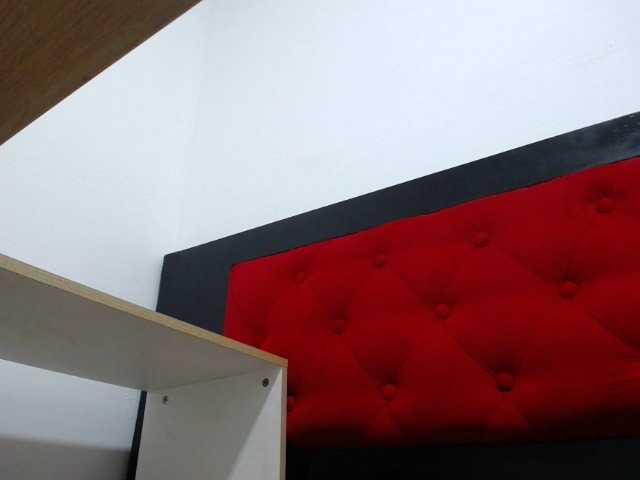 Ringhäälingupildid klart-cat