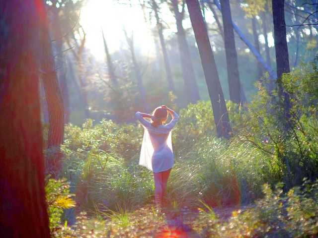 Profiili foto Fiery_Phoenix