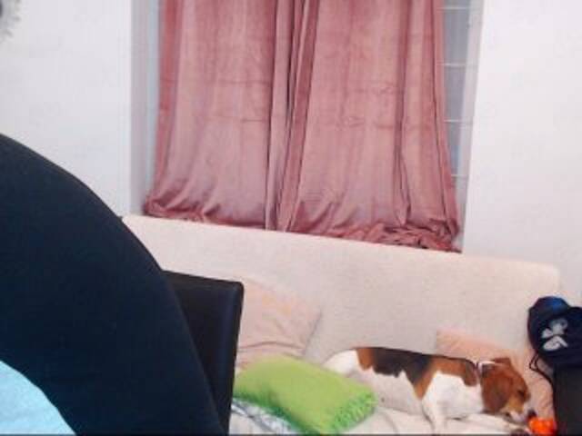 Ringhäälingupildid MaxGACouple