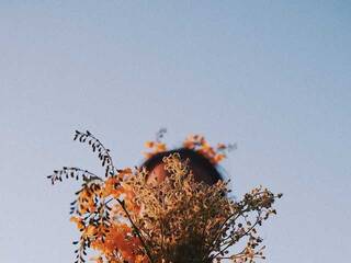 Erootiline videovestlus Miniiskis