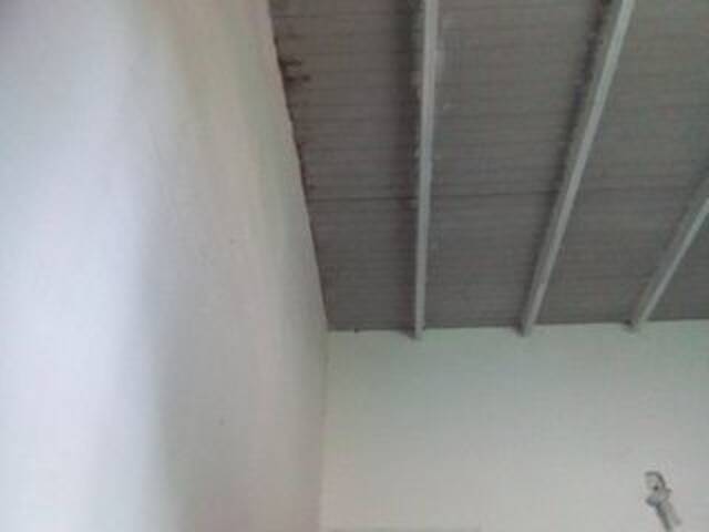 Ringhäälingupildid misscute