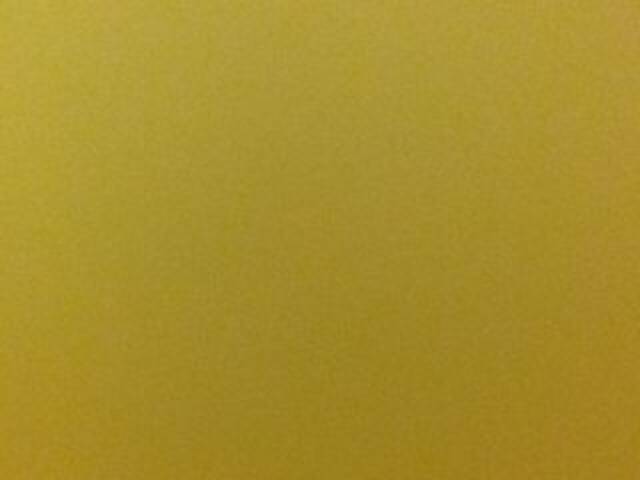 Ringhäälingupildid OceanyCat