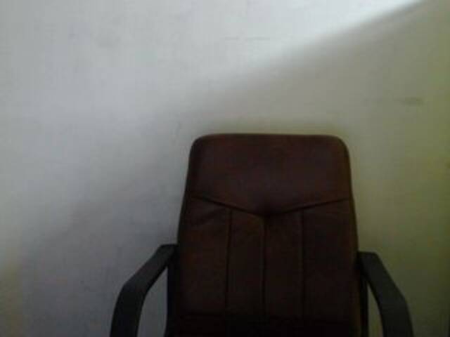 Ringhäälingupildid ollyva