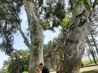 Erootiline videovestlus PUPI-DEL-REY