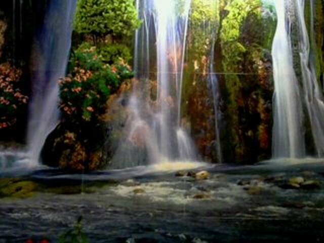 Ringhäälingupildid regiha