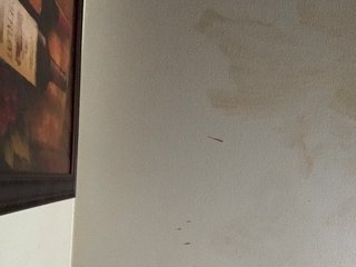 Erootiline videovestlus Sexylexie18