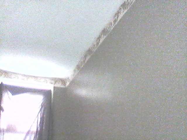 Ringhäälingupildid supa19kitty