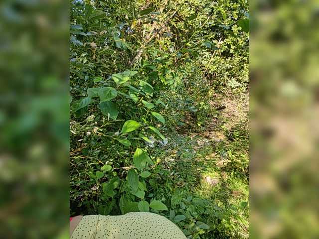 Ringhäälingupildid AliceWarren