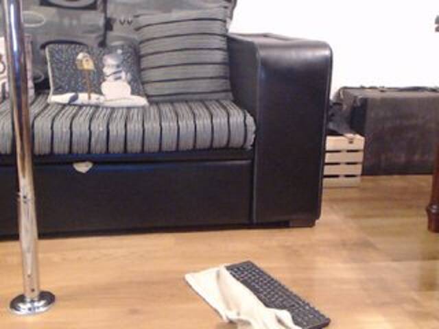 Ringhäälingupildid TiffanyTaylor