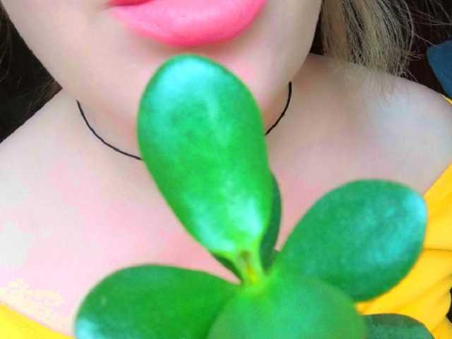 Profiili foto 1BECHA1