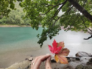 Erootiline videovestlus _GoodGirl_