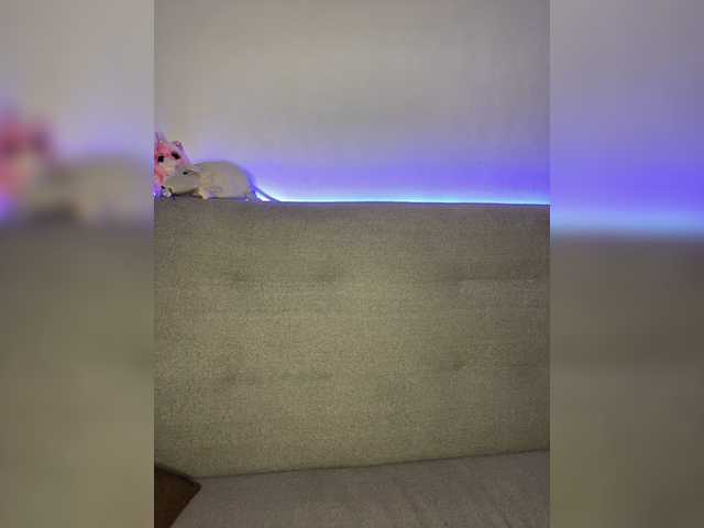 Ringhäälingupildid Wulka