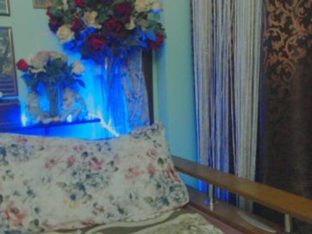 Ringhäälingupildid zlllatta